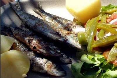 Grilled sardines (sardinhas grelhadas)