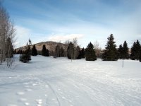 Cross Country Ski Course