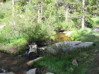 Flowing Stream at Horseshoe Meadows