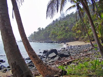 North Coast of Isla Pinos