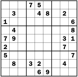 El Sofista: La final del campeonato mundial de Sudoku
