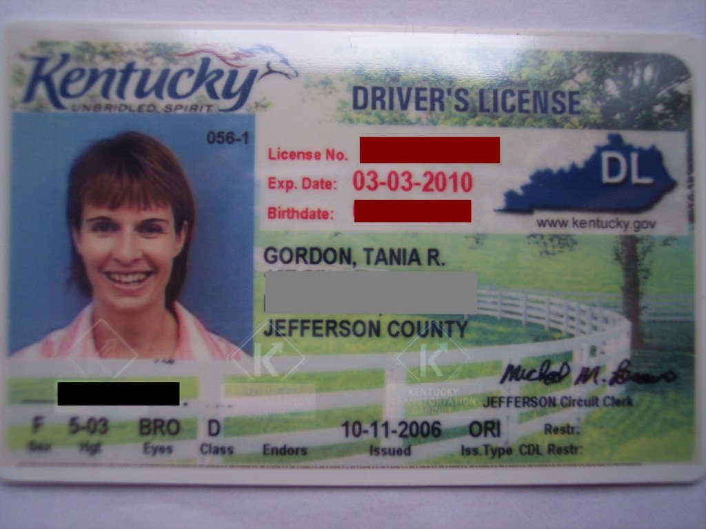 Kentucky drivers license number format