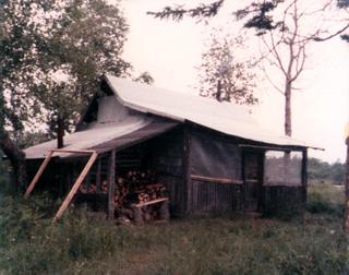 Cabin, with porch screens fixed 