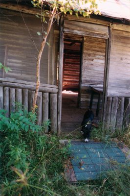 Front porch door of the shack