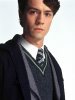 Christian Coulson as Tom Riddle