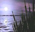 Freshness of the Night
