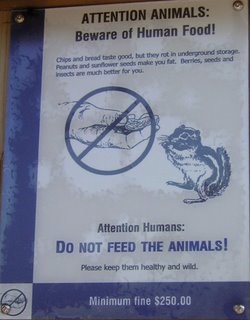 Attention Animals