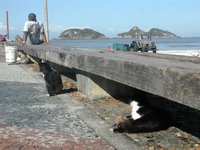 Foto Gustavo Cabral