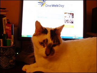 Sam the Cat Ponders OneWebDay