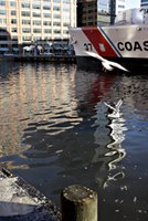 USCGC Taney - original image