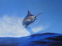 David Mellor - Blue Marlin