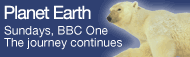 Planet Earth News © BBC