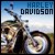 Harley-Davidson Fan