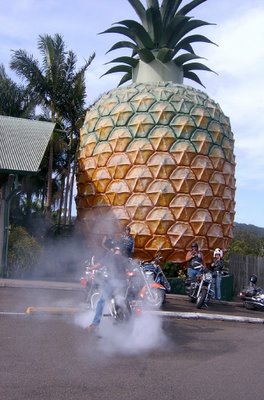 Dodge smokes the Big Pineapple