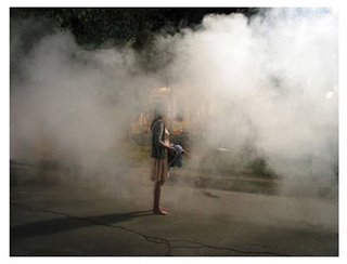 Gregory Crewdson [Beneath the roses 2005](Untitled)