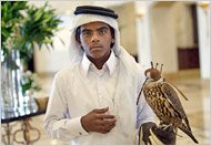 a falcon handler