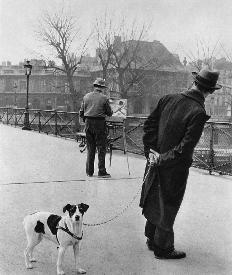 Robert Doisneau, Foxterrier on  the Pont des Arts