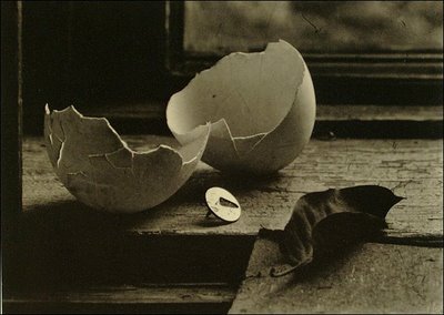 Still Life from the Studio of Josef Sudek