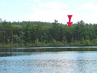 looking towards our house from the middle of the lake