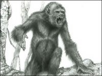 Representação artística do que seria o 'Pierolapithecus catalaunicus'