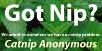 Catnip Anonymous