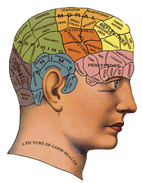 Britannica: Phrenology enjoyed great popular appeal well into the 20th century but was wholly discredited by scientific research.