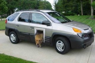 The Pet Craze is Amazing