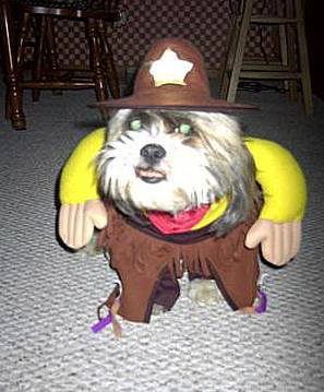 Dog sheriff