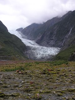Franz Joseph Glacier (that's glay-see-ear)