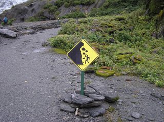 Love these Kiwi caution signs