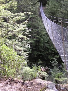 Swinging bridge along the trail