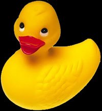 rubber ducky - not okay to throw off your deck rubber ducky - not okay to throw off your deck