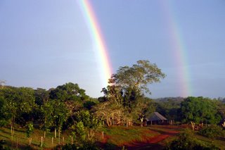 Shadow rainbow