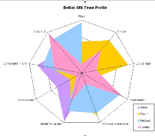 Belbin Chart