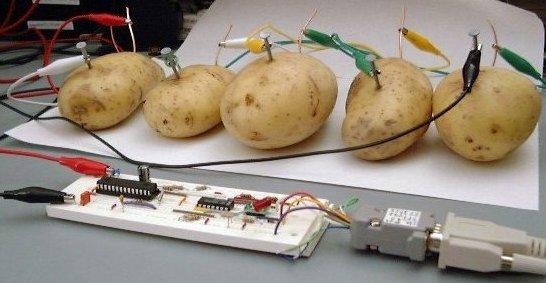 potato powered calculator