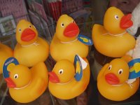 Blogger - Ducked