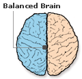 balanced brain