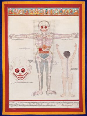 Tibet Anatomy gouache on paper 20th century