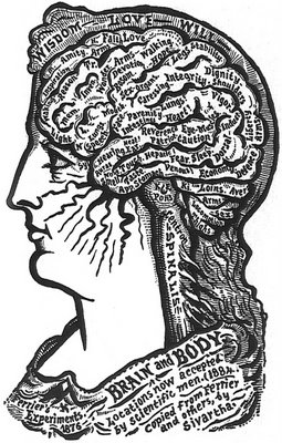 Brain and Body