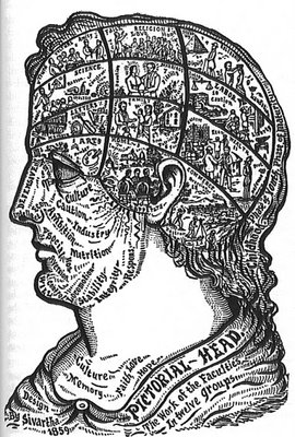 Pictorial Head