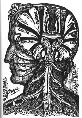 The Cross Section