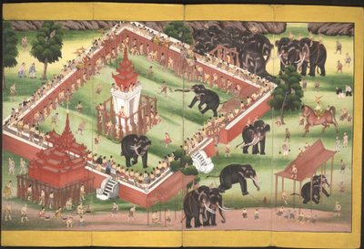 Game with elephants in enclosure