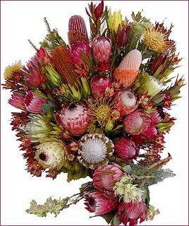 Florists in Los Angeles: Ordering Protea Flowers in Hollywood