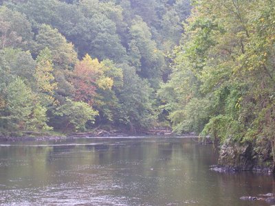Downstream Farmington River