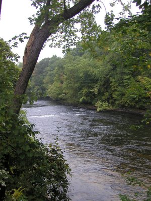 Upstream Farmington River