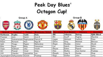 Peak Day Blues - Octagon Cricket Cup!