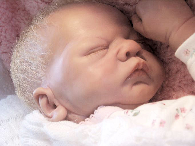 exceptional reborn nursery