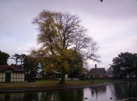 Paddy Freemans Park Paddy Freemans Park