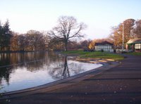 Paddy Freemans Park Paddy Freemans Park