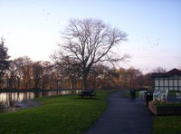 Paddy Freemans Park Paddy Freemans Park